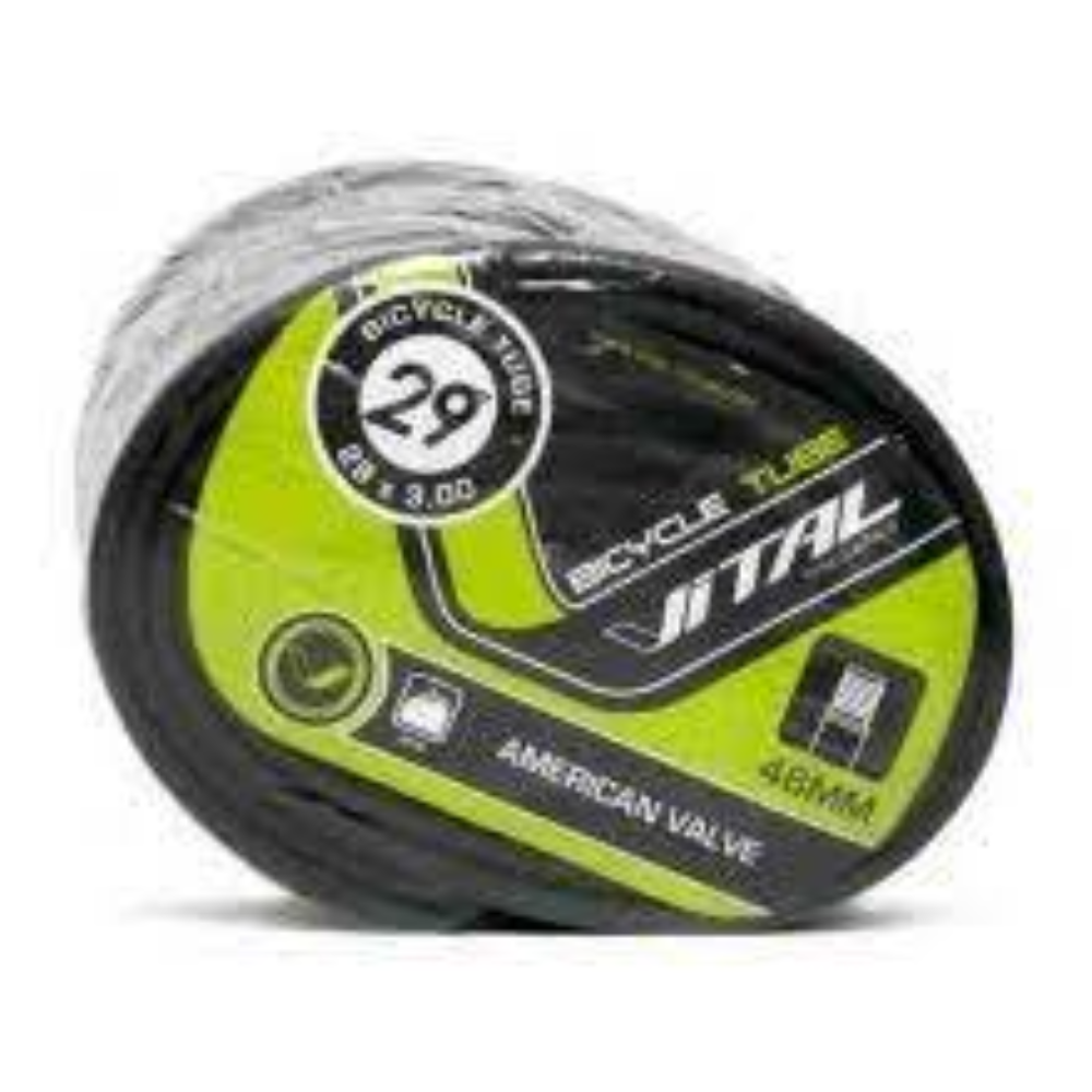 Camara Vital 29X3.00 VA 48MM