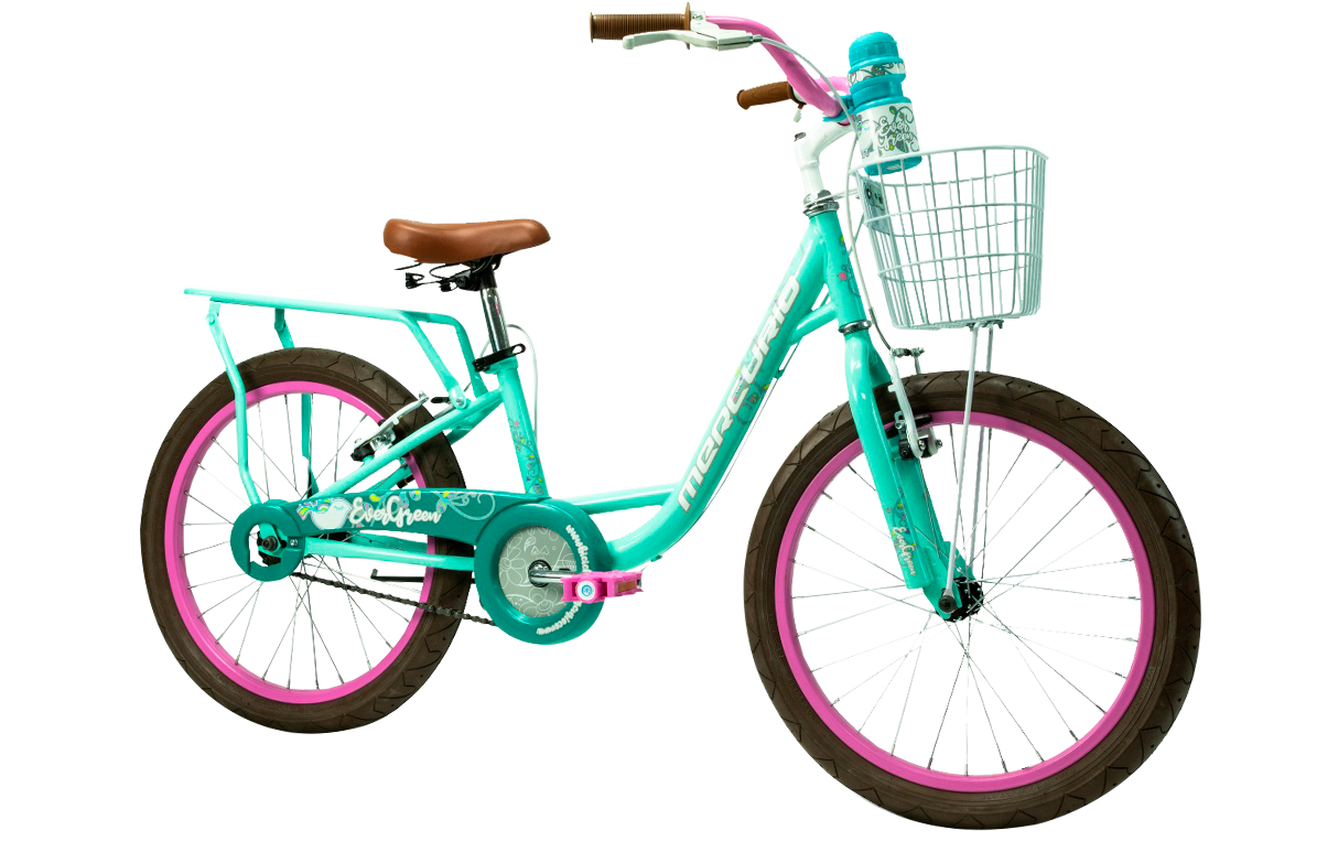 Bicicleta Mercurio Evergreen 20"