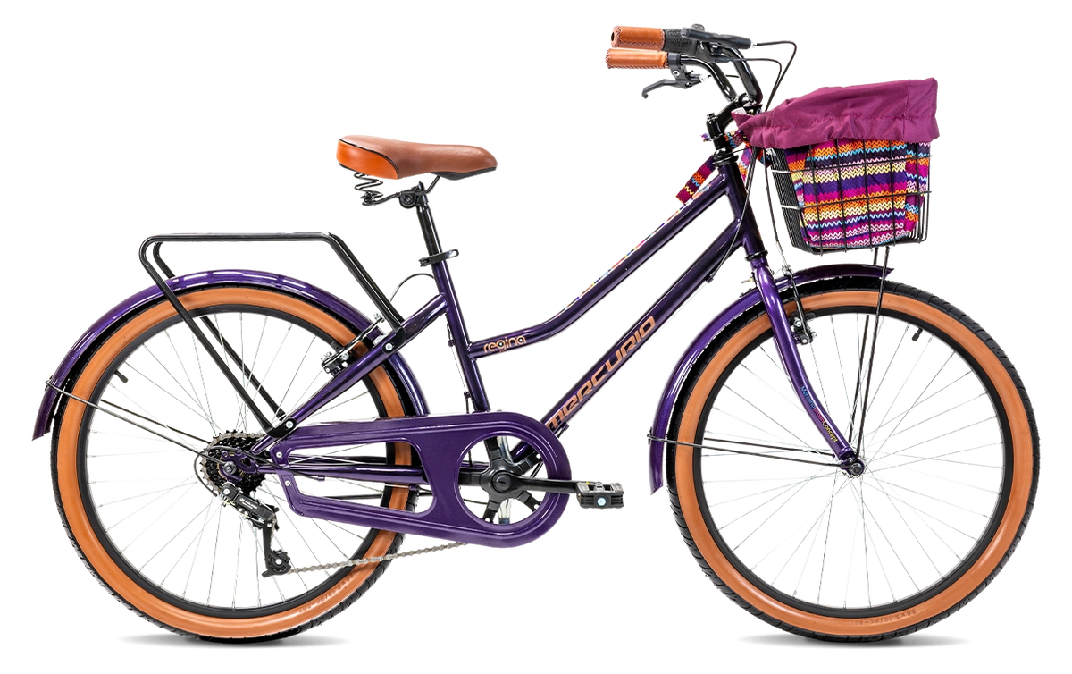 BICICLETA MERCURIO REGINA 24
