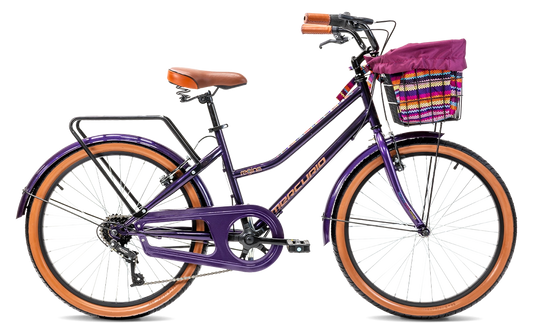 BICICLETA MERCURIO REGINA 24