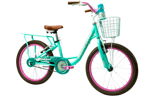 Bicicleta Mercurio Evergreen 20"